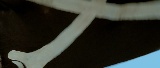 Screenshot preview