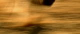 Screenshot preview