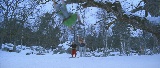 Screenshot preview